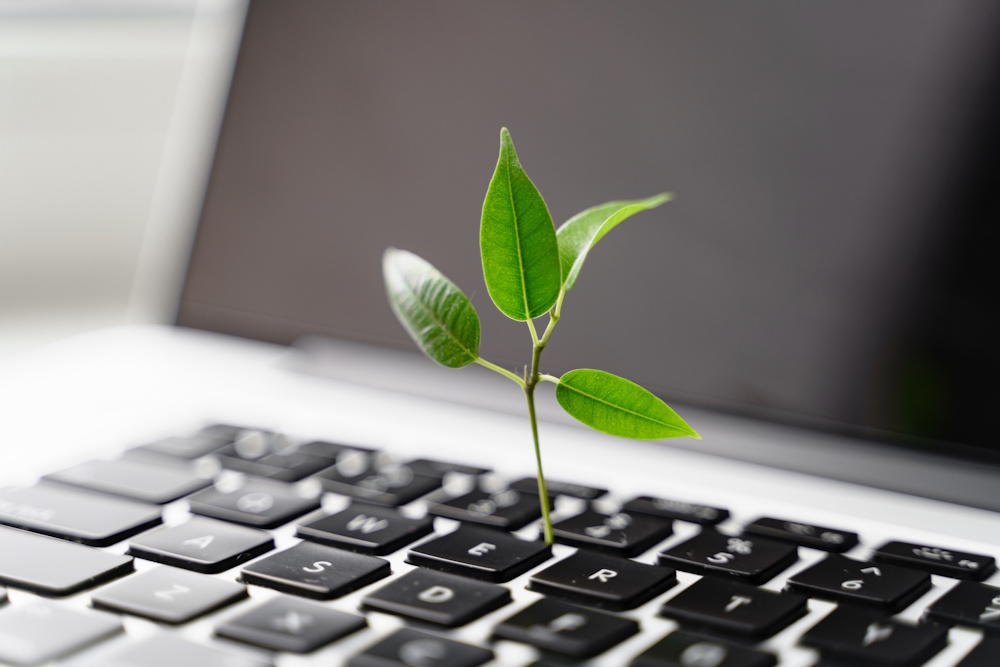 green it sprout laptop